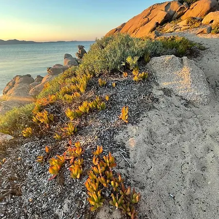 Yucca Lejlighed Olbia