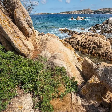 Yucca Lejlighed Olbia