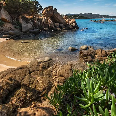 Appartamento Yucca *