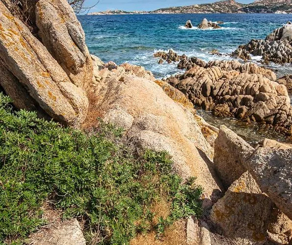 Yucca Appartamento Olbia